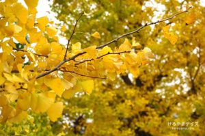 【01】はじめに　母のこと、家族のこと