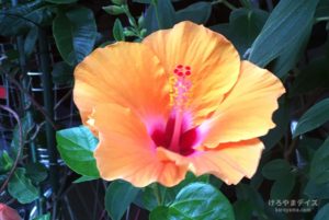 【08】くだらない話が楽しい