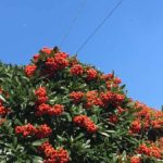 【15】日常を保つ