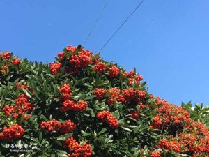 【15】日常を保つ