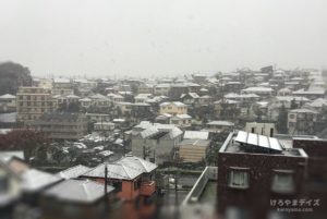 【18】季節はずれの雪が降る