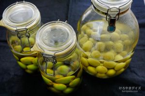 果実酒づくりの基本をおさらい｜手順とコツ、道具と材料について