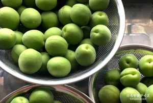 梅酒づくりの記録 ～2018