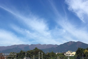 なんちゃってデュアルライフ｜東京～神奈川 ｜私のゆるやかな田舎暮らし