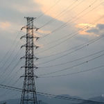 さみしさはどこへいくのか