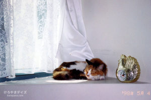 猫にそんなつもりはないけれど