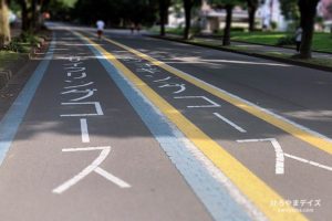 40代のダイエット【2】2019/7 食べれば太る、走れば痩せる