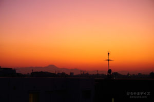 いろいろ 2019年11月|復調の秋、もっと大人の娯楽を!