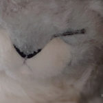 よりぬきnote 2019年10月~11月