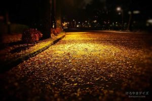 いろいろ 2019年12月｜掃除はちいさな地鎮祭