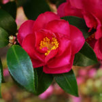 いろいろ 2019年 年末|小さな違和感を手の中であたためる