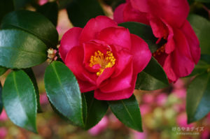 いろいろ 2019年 年末｜小さな違和感を手の中であたためる