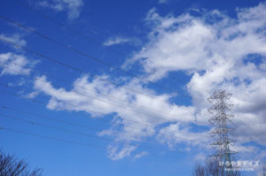 いろいろ 2020年3月｜北の空を仰ぎ、途方に暮れる