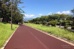 40代のダイエット【3】2019/8 ああ膝が！水の中なら自由になれる