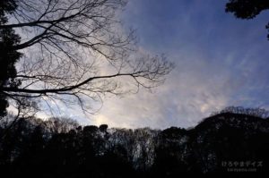 40代のダイエット【6】2020/1～2 緊急事態！まさかの痩せすぎ